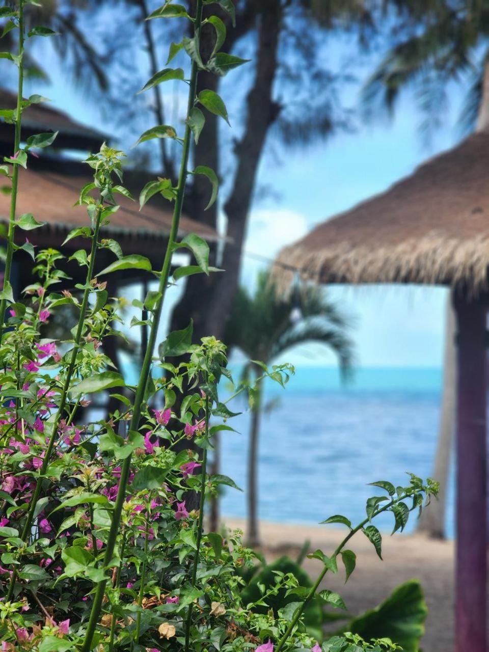 A Little Bungalows By Beach Amphoe Koksamui Luaran gambar